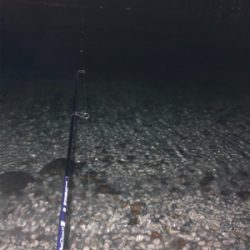 マーブルビーチでメバリング