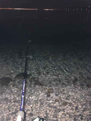 マーブルビーチでメバリング