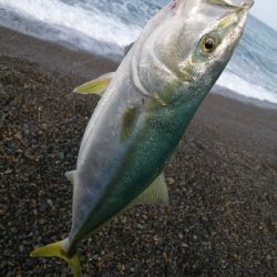 マイクロブレードにガツン！