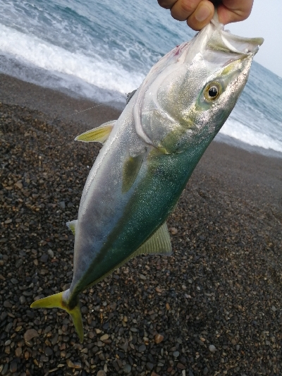 マイクロブレードにガツン！