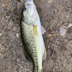 母の日釣行で1匹！