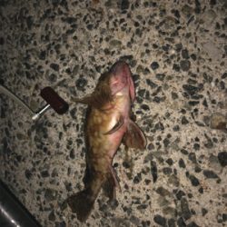 初めて行きました