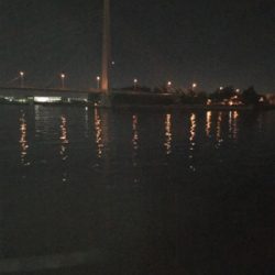 ハイブリッド釣法