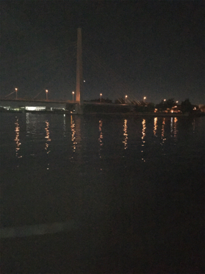 ハイブリッド釣法