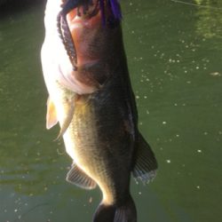 色々なルアーで