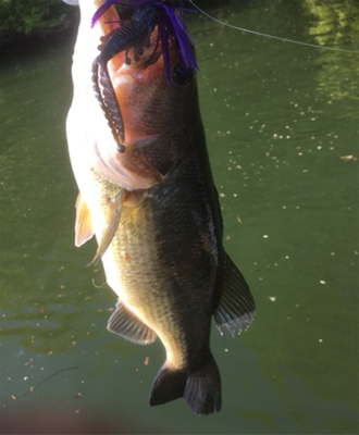 色々なルアーで