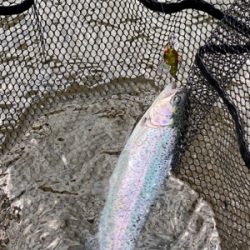 黒保根渓流フィッシング