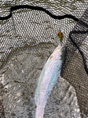 黒保根渓流フィッシング