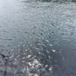 日本海の荒波を乗り越えて