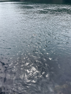 日本海の荒波を乗り越えて