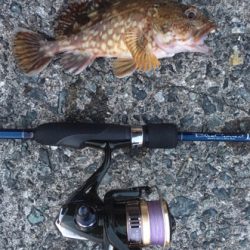 サンセット釣行❗️