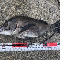 狙いとは違った珍客