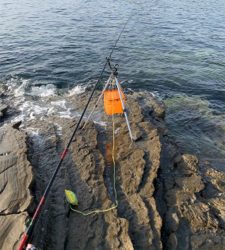 久しぶりのヤエン