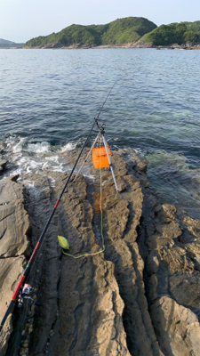 久しぶりのヤエン