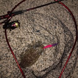 仕事帰りからのエギング！