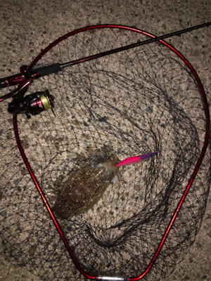 仕事帰りからのエギング！