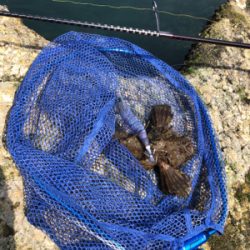 エギングでまさかの…