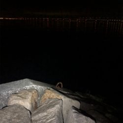 リベンジメバリング