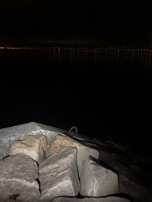 リベンジメバリング