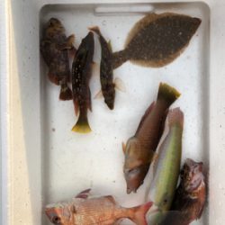 久しぶりの海釣り公園に来ました。