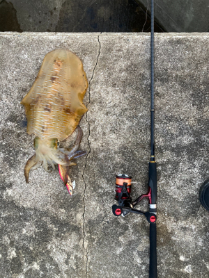 キロアップ入れ食い