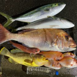 マイボートで大物ゲット!自己新記録!