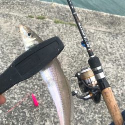 ちょーーい投げ