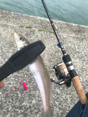 ちょーーい投げ