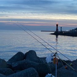 キス釣り、カサゴ釣り