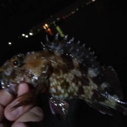 雨が、降る前に…