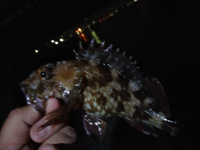 雨が、降る前に…