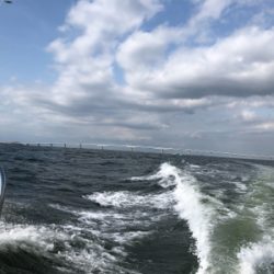 知り合いと共にボートシーバス