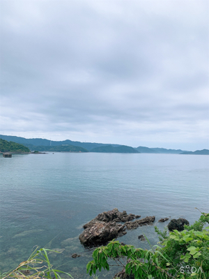 ロックフィッシュ