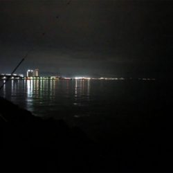 久しぶりのメバル