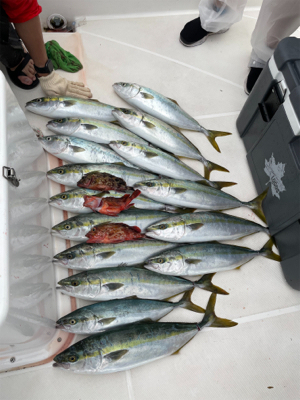 レンタルボートでハマチ祭り
