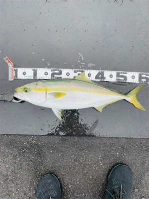 激アツ砂〇場‼️…