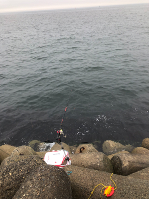 グレフカセ釣り