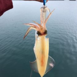 雨の止みまに。