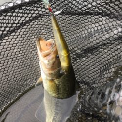 トップが熱かった！