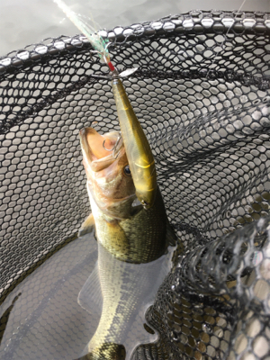 トップが熱かった！