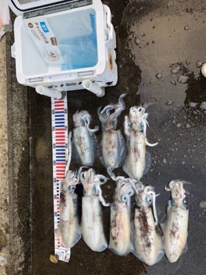 自分的に大漁(*ﾟ∀ﾟ*)