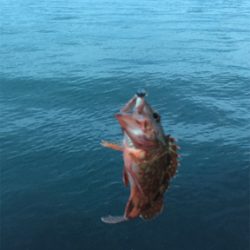 雨が降る前に(^^)