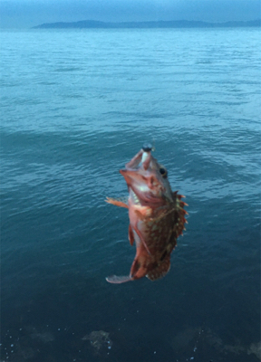 雨が降る前に(^^)