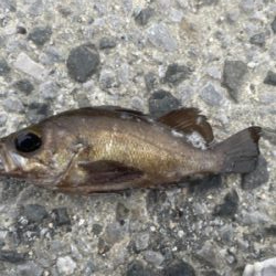 佐賀関ランガン