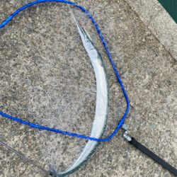 まさかの、、、