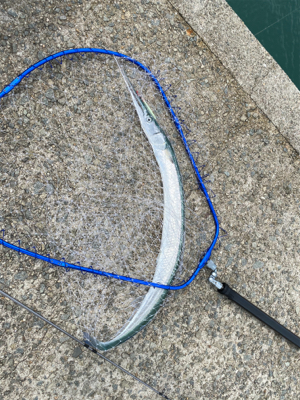 まさかの、、、