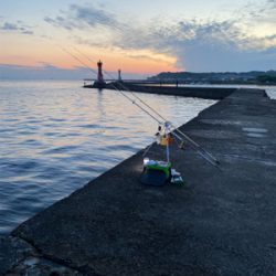 キス、五目釣り、