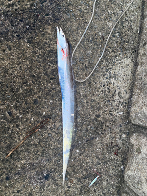 ベイトたっぷり