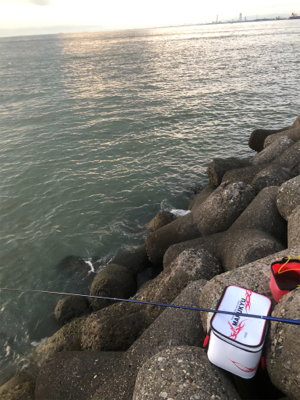 電気ウキで半夜釣り