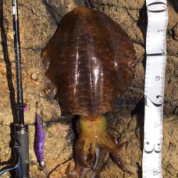 6時間やって当たり1回のみ…